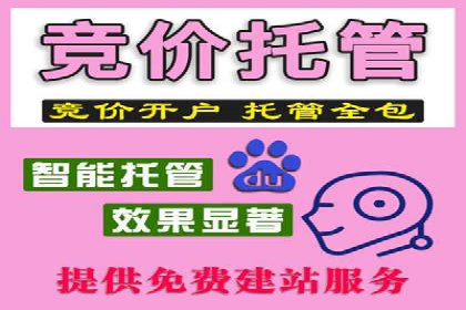 SEM代运营公司案例：助力企业增长